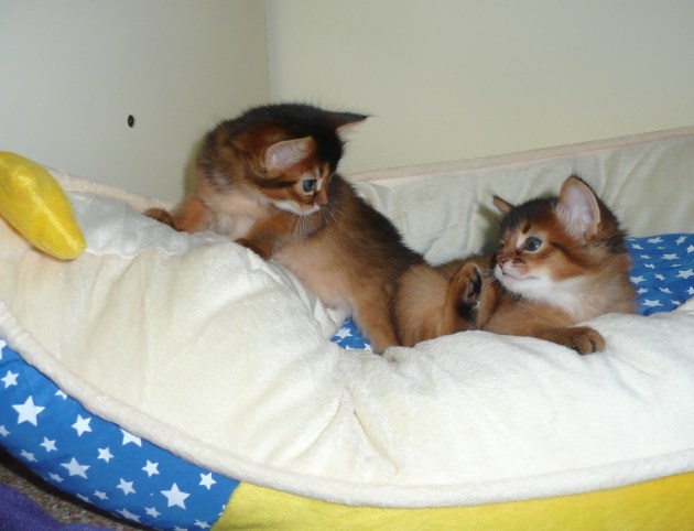 2012-09-06, Calando rechts