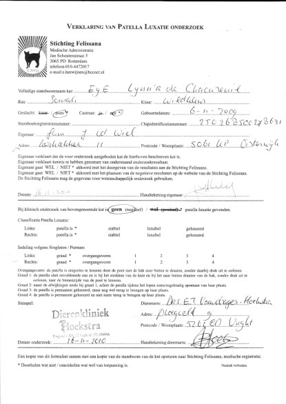 patella-luxatie-test-kallima-vrij