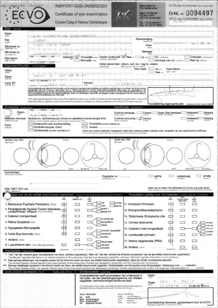 pra-oogspiegeltest-kallima-vrij
