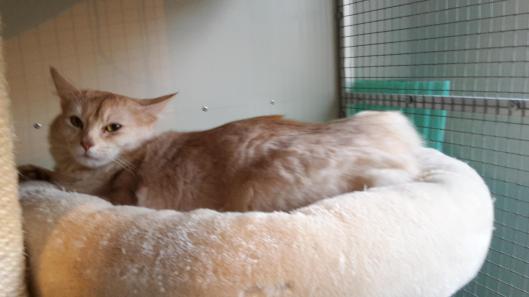 woensdagavond 28 feb, nog een beetje wennen