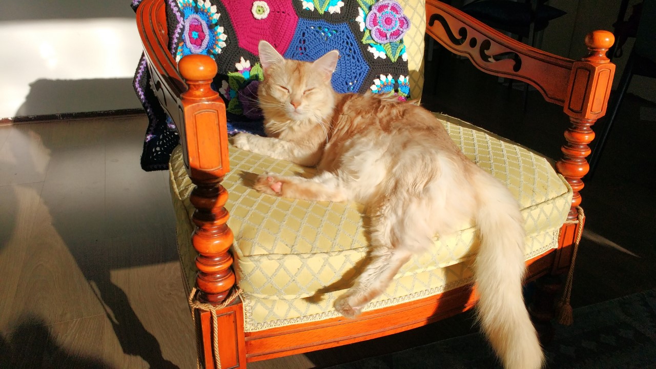 thumbnail_IMG_20200205_144618565