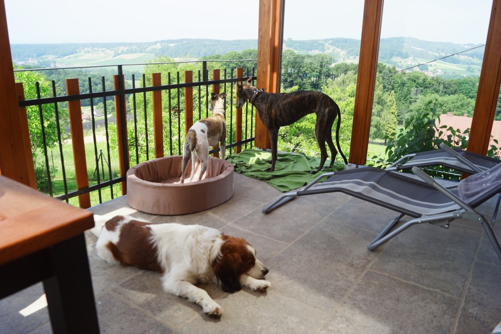 Deze afbeelding heeft een leeg alt-atribuut; de bestandsnaam is dsc05389-2.jpg